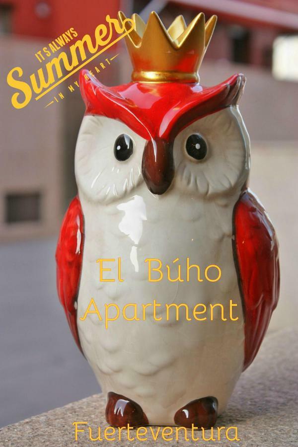 El Buho Apartment Wi-Fi 푸에르토델로사리오 외부 사진